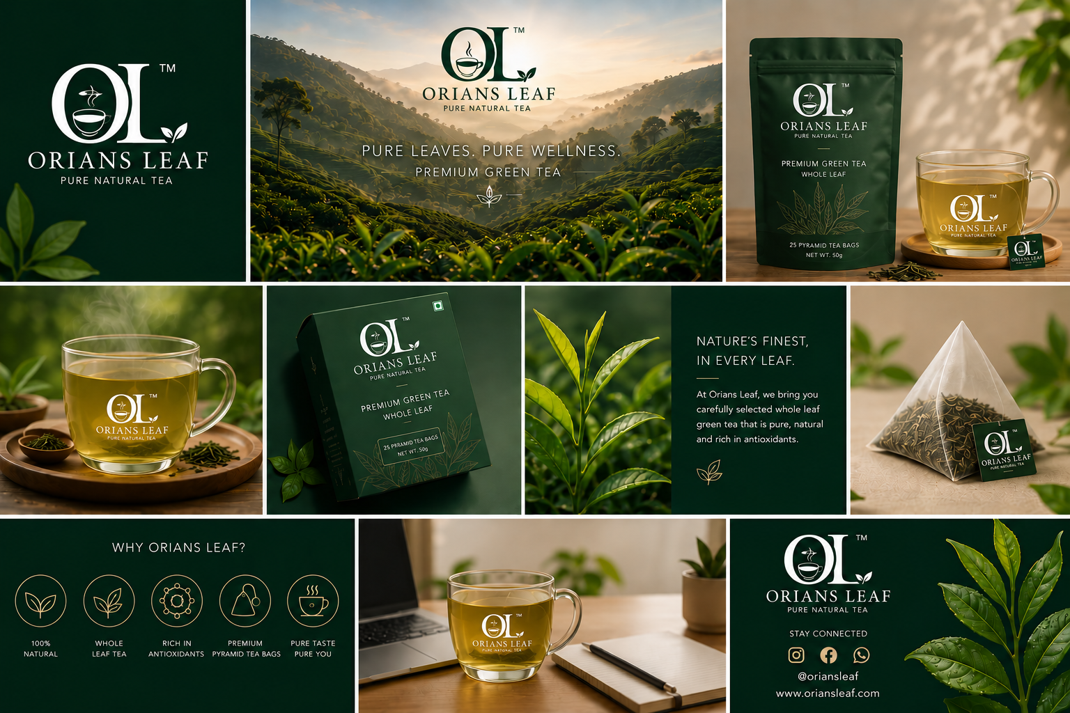 Orians Leaf brand overview poster